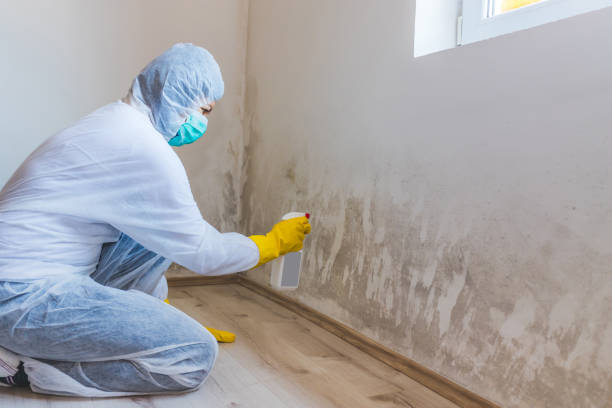 Asbestos and Lead Testing During Mold Inspection in Pleak, TX